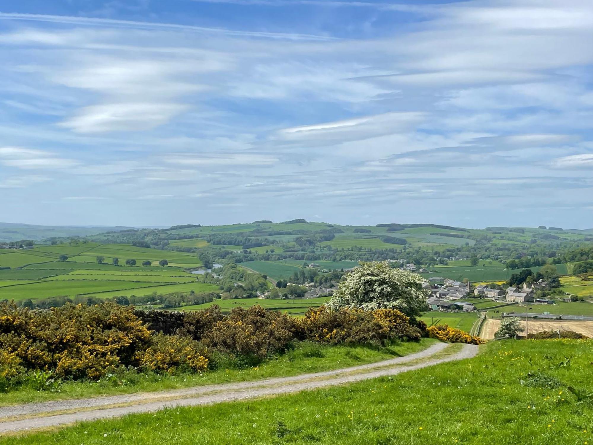 Stay On The Hill - Self Catered Cottages Laverick And Bothy Hexham Buitenkant foto